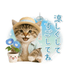癒しニャンコの「夏」の毎日（個別スタンプ：11）
