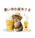 癒しニャンコの「夏」の毎日（個別スタンプ：12）