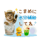癒しニャンコの「夏」の毎日（個別スタンプ：14）
