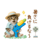 癒しニャンコの「夏」の毎日（個別スタンプ：16）