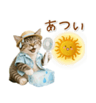 癒しニャンコの「夏」の毎日（個別スタンプ：17）