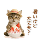 癒しニャンコの「夏」の毎日（個別スタンプ：19）