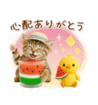 癒しニャンコの「夏」の毎日（個別スタンプ：20）