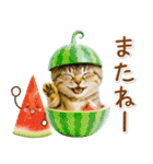 癒しニャンコの「夏」の毎日（個別スタンプ：22）