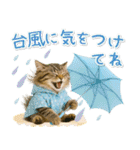 癒しニャンコの「夏」の毎日（個別スタンプ：27）