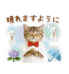 癒しニャンコの「夏」の毎日（個別スタンプ：29）
