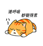 ダメダメ茶トラ猫！ただのぐうたら（個別スタンプ：19）
