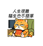 ダメダメ茶トラ猫！ただのぐうたら（個別スタンプ：22）