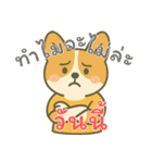 もうムリ柯基ベビー (タイ) Ver3（個別スタンプ：8）