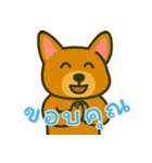 もうムリ柯基ベビー (タイ) Ver3（個別スタンプ：21）