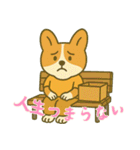 もうムリ柯基ベビー (にほんご) Ver3（個別スタンプ：18）