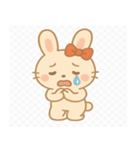 ぴょんこ先生の毎日スタンプ（個別スタンプ：13）