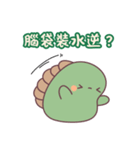おしりカメの日常｜爆笑スタンプ登場！（個別スタンプ：17）