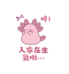 ウーパールーパーのゆるかわ日常（個別スタンプ：13）