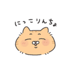 （かわいい）ネコ（個別スタンプ：1）