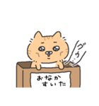 （かわいい）ネコ（個別スタンプ：34）