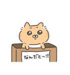 （かわいい）ネコ（個別スタンプ：36）