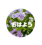 kyoko193 Good morning（個別スタンプ：1）