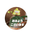 kyoko193 Good morning（個別スタンプ：11）