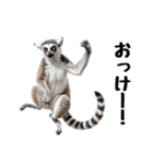 しっぽリング！ワオキツネザルの毎日（個別スタンプ：2）