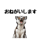 しっぽリング！ワオキツネザルの毎日（個別スタンプ：8）