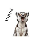 しっぽリング！ワオキツネザルの毎日（個別スタンプ：10）