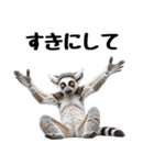 しっぽリング！ワオキツネザルの毎日（個別スタンプ：16）