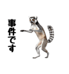 しっぽリング！ワオキツネザルの毎日（個別スタンプ：18）