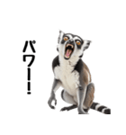 しっぽリング！ワオキツネザルの毎日（個別スタンプ：24）