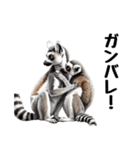 しっぽリング！ワオキツネザルの毎日（個別スタンプ：29）