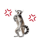 しっぽリング！ワオキツネザルの毎日（個別スタンプ：35）