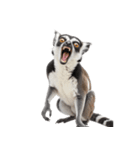 しっぽリング！ワオキツネザルの毎日（個別スタンプ：38）