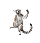 しっぽリング！ワオキツネザルの毎日（個別スタンプ：39）