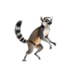 しっぽリング！ワオキツネザルの毎日（個別スタンプ：40）