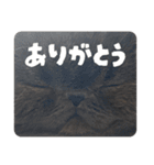 リアルロワのLINEスタンプ（個別スタンプ：1）