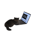 リアルロワのLINEスタンプ（個別スタンプ：2）