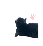 リアルロワのLINEスタンプ（個別スタンプ：5）