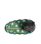 リアルロワのLINEスタンプ（個別スタンプ：8）