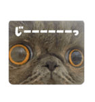 リアルロワのLINEスタンプ（個別スタンプ：20）