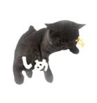 リアルロワのLINEスタンプ（個別スタンプ：23）