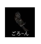 表情ゆたかネコたち 黒＆白＆海＆空（個別スタンプ：6）