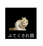 表情ゆたかネコたち 黒＆白＆海＆空（個別スタンプ：9）