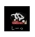 表情ゆたかネコたち 黒＆白＆海＆空（個別スタンプ：28）