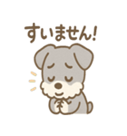 あやまりシュナの毎日つかえる謝罪セット（個別スタンプ：19）