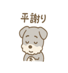 あやまりシュナの毎日つかえる謝罪セット（個別スタンプ：39）
