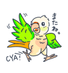 ウロコインコの日常で使えるスタンプ（個別スタンプ：12）
