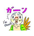 ウロコインコの日常で使えるスタンプ（個別スタンプ：16）