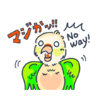 ウロコインコの日常で使えるスタンプ（個別スタンプ：18）