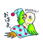 ウロコインコの日常で使えるスタンプ（個別スタンプ：24）