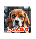 わんこの感情スタンプ（ビーグル）（個別スタンプ：3）